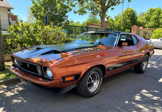 Ford Mustang Mach 1